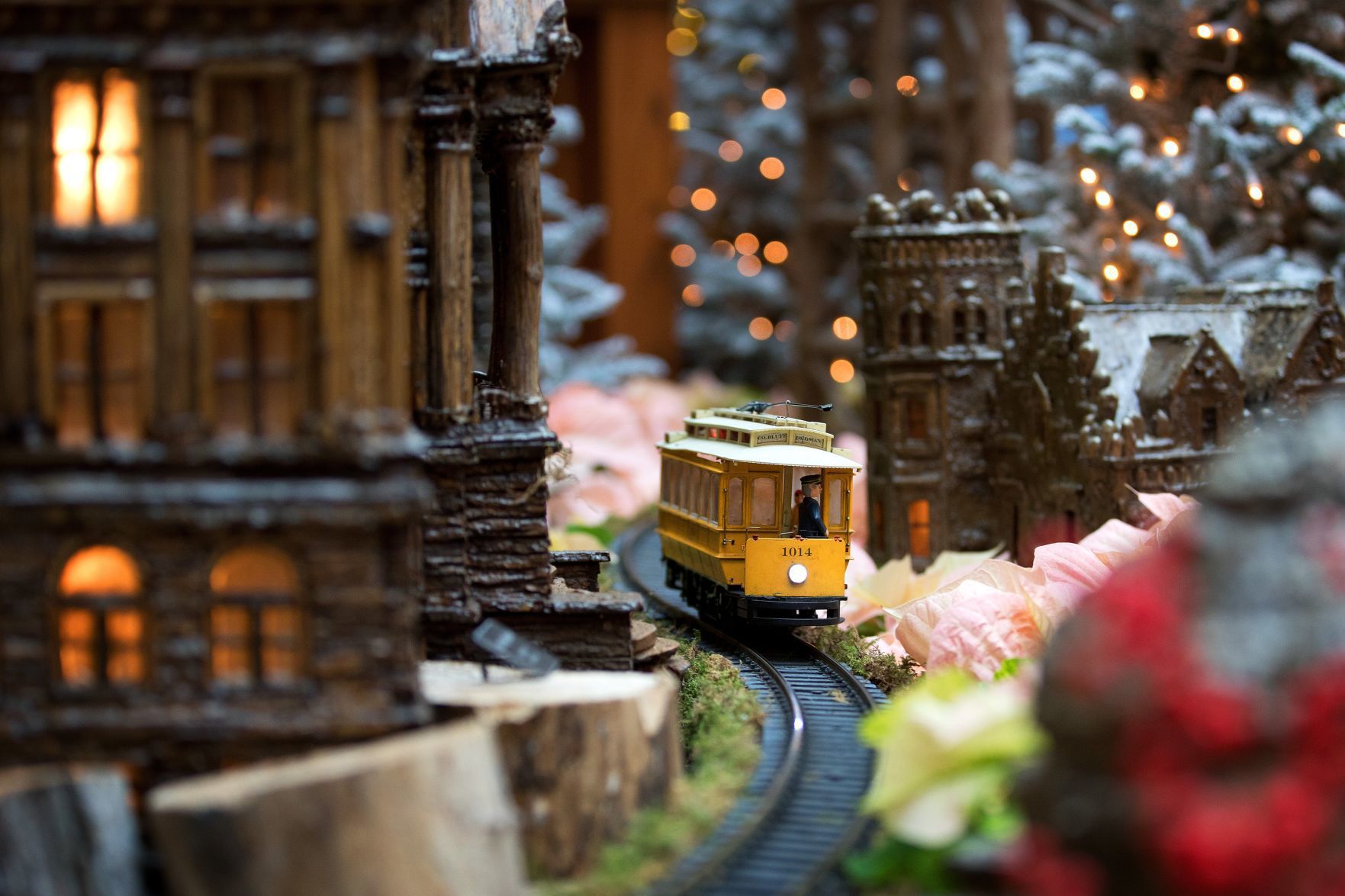 See poinsettias, model trains at Lauritzen Gardens